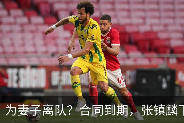 为妻子离队？合同到期，张镇麟下家4选1，广东2队有机会
